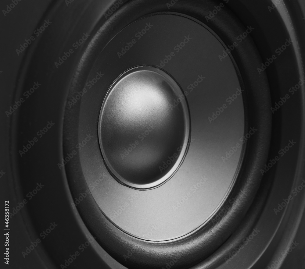 the speaker the speaker
