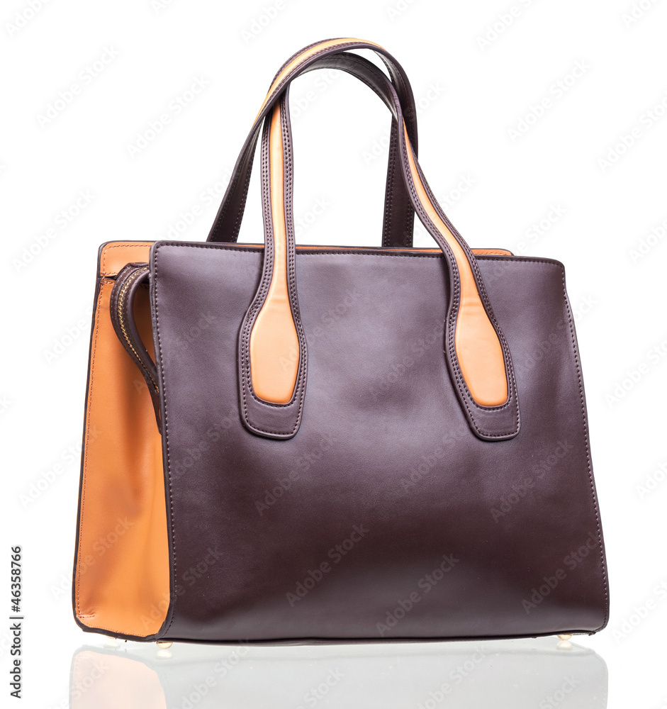 Fashion women bag isolated over white Fashion women bag isolated over white
