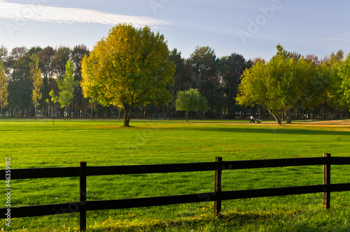 Wooden fence and trees on a golf course