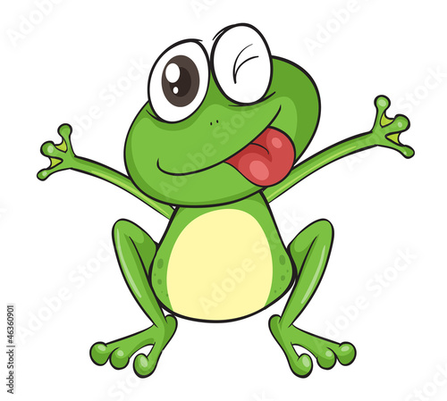 a frog