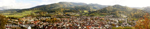 Blick auf eine Kleinstadt im Schwarzwald