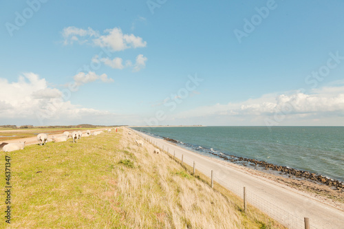 Quadro em tela Dutch wide landscape with dike and blue cloudy sky.