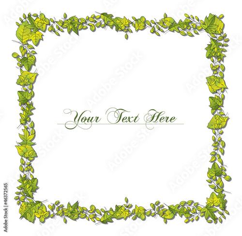 Square Leaf Border