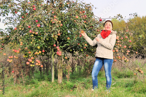 Frau mit Apfelbaum im Herbst © Andrea
