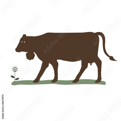 the cow 1