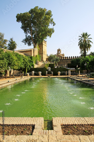 Alcazar garden- Cordoba - Andalucia - Spain