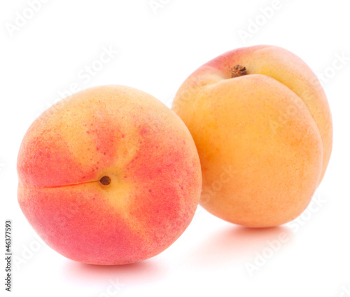 Ripe apricot fruit