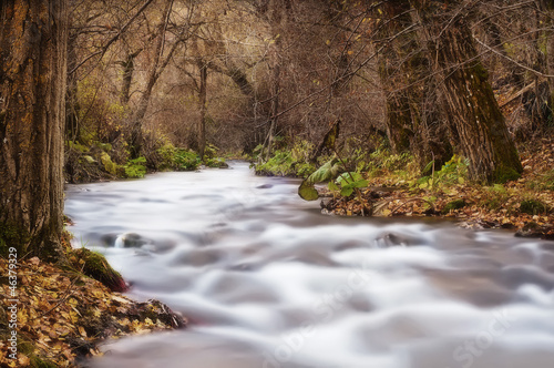 torrente incontaminato in paesaggio autunnale photo