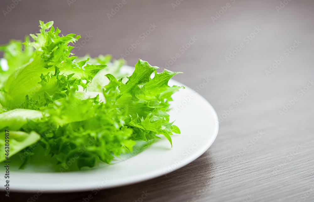green lettuce on a plate close-up macro. diet concept green lettuce on a plate close-up macro. diet concept