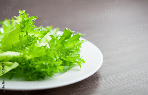 green lettuce on a plate close-up macro. diet concept