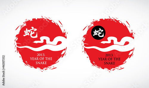 2013. Year of the snake symbol