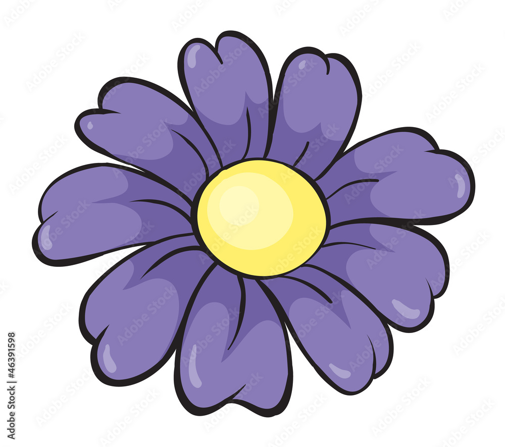purple flower purple flower