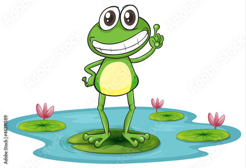 a frog