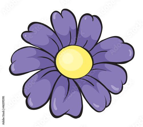 Fototapeta Naklejka Na Ścianę i Meble -  purple flower