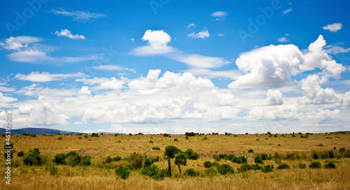 African landscape with wildebeests, Maasai Mara, Kenya