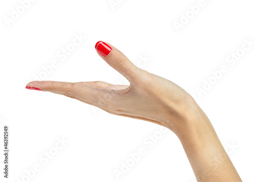 female woman hand holding isolated on white