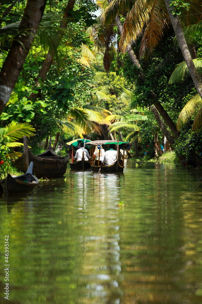 Palm tree tropical forest in backwater of Kochin, Kerala, India Palm tree tropical forest in backwater of Kochin, Kerala, India