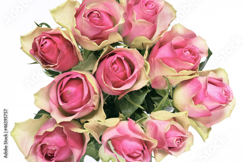 bouquet of pink roses