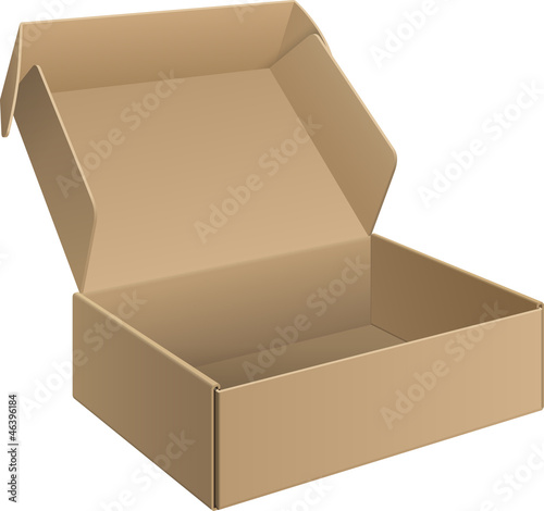 Package cardboard Box Opened