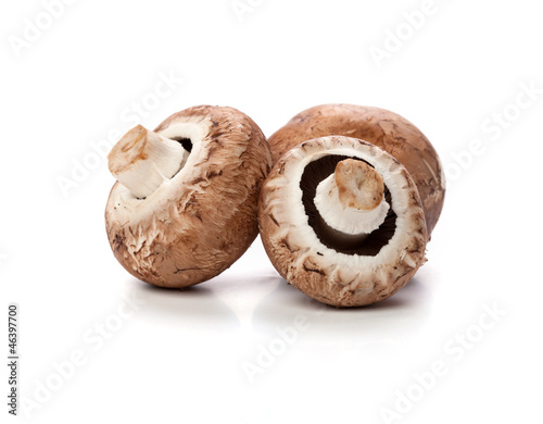 brown mushrooms on white