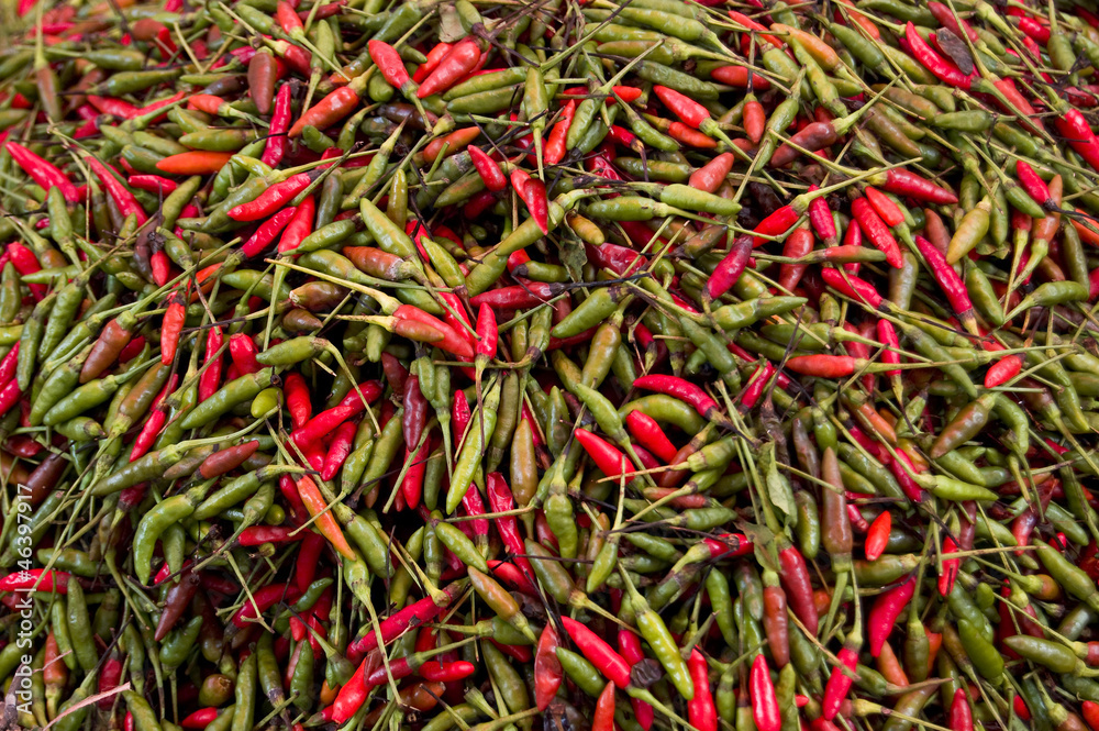 hot pepper hot pepper