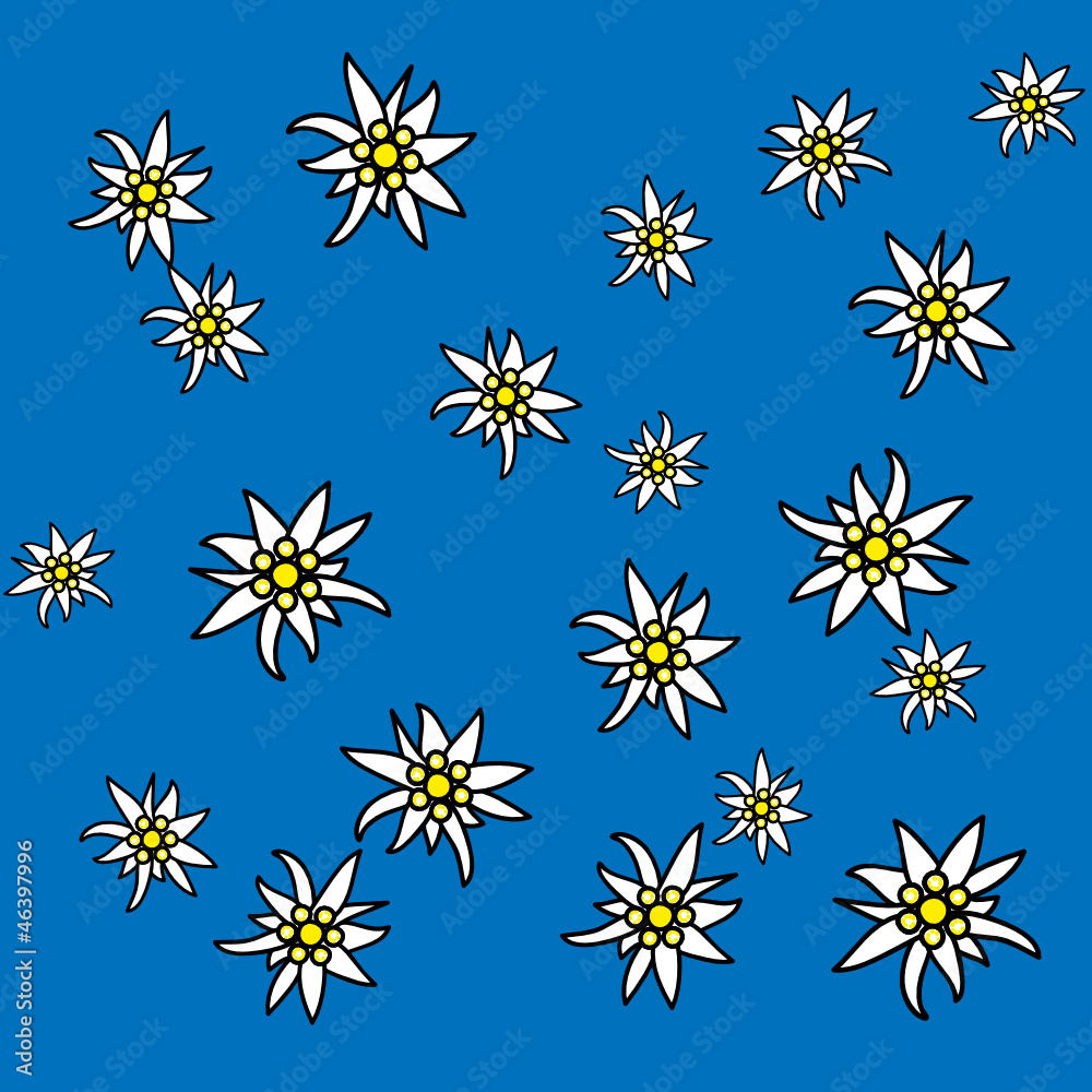 Edelweiss Edelweiss