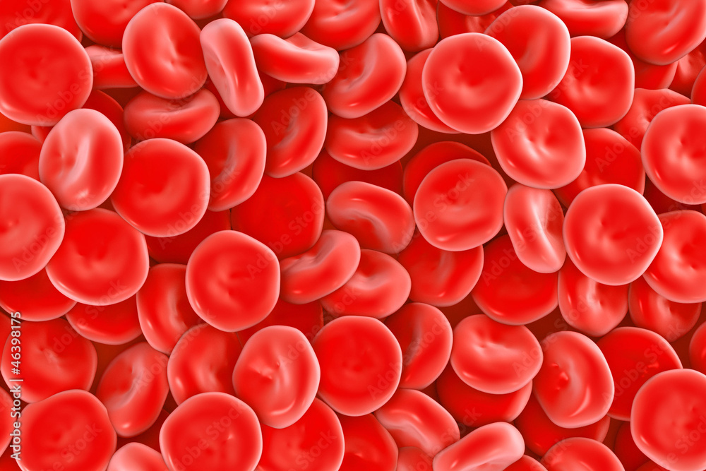 illustration of red blood cells in high detail illustration of red blood cells in high detail