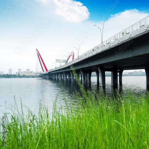 Photography Bridge