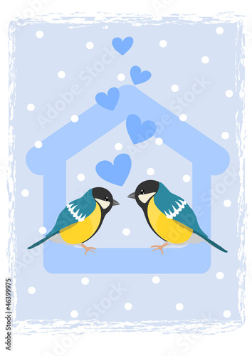 Two tits in bird feeder - winter time.