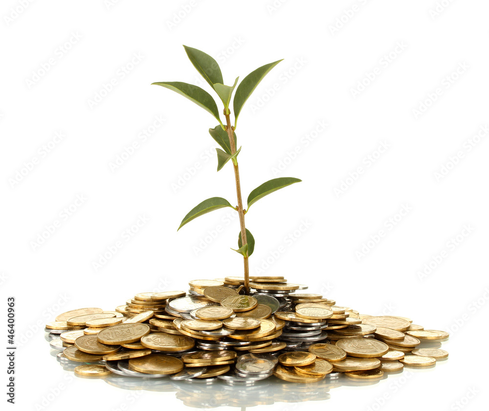 plant growing out of gold and silver coins isolated plant growing out of gold and silver coins isolated