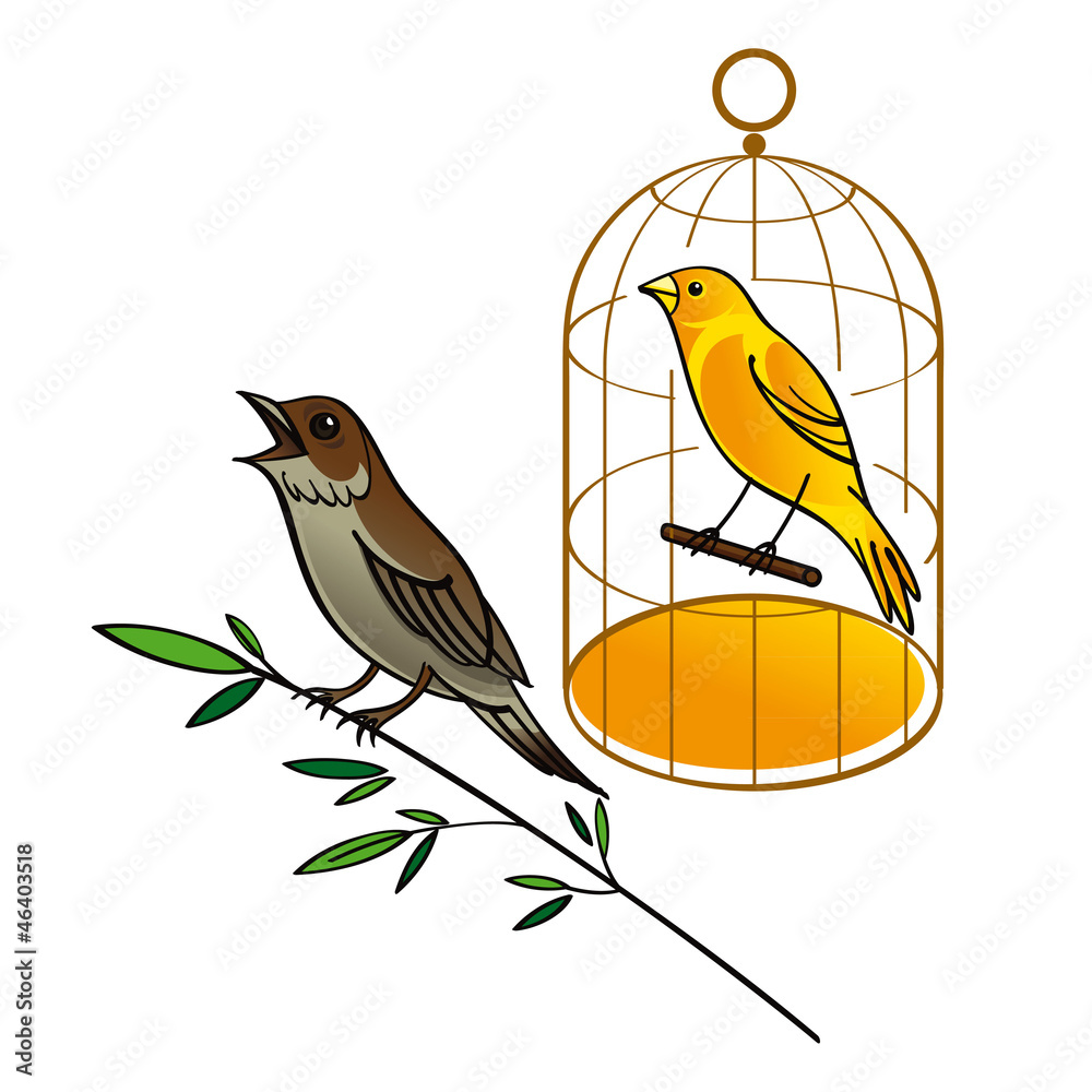 Wall murals Nightingale and Canary in the golden cage - Nikkel-Art.com
