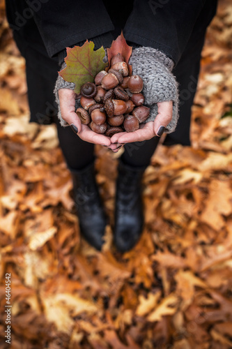 Erntezeit im Herbst