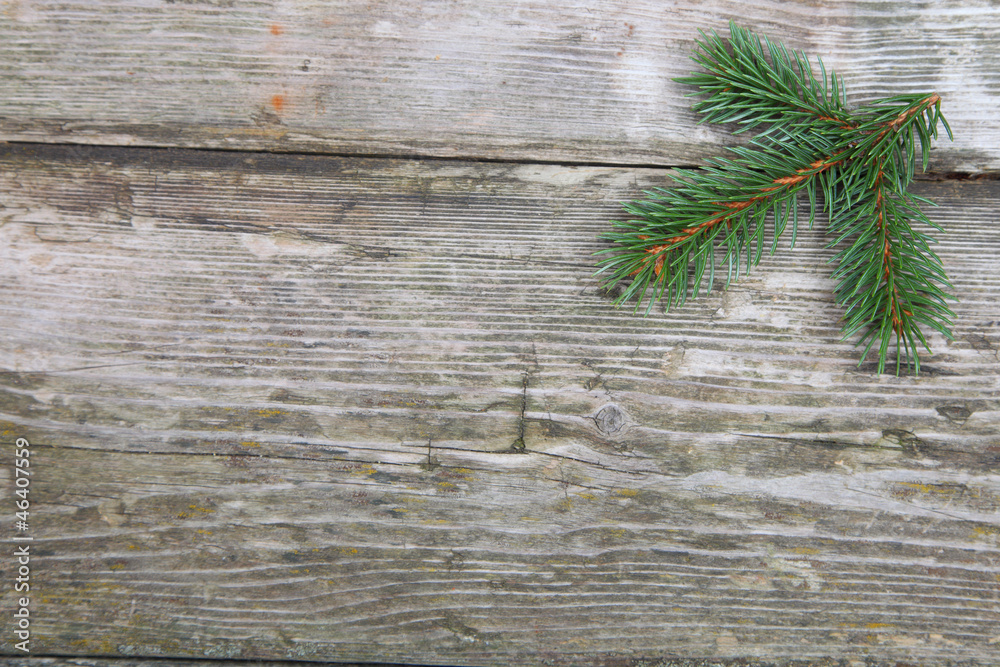 Christmas fir tree Christmas fir tree