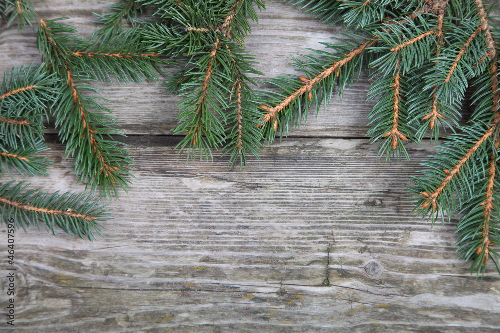 Christmas fir tree Christmas fir tree