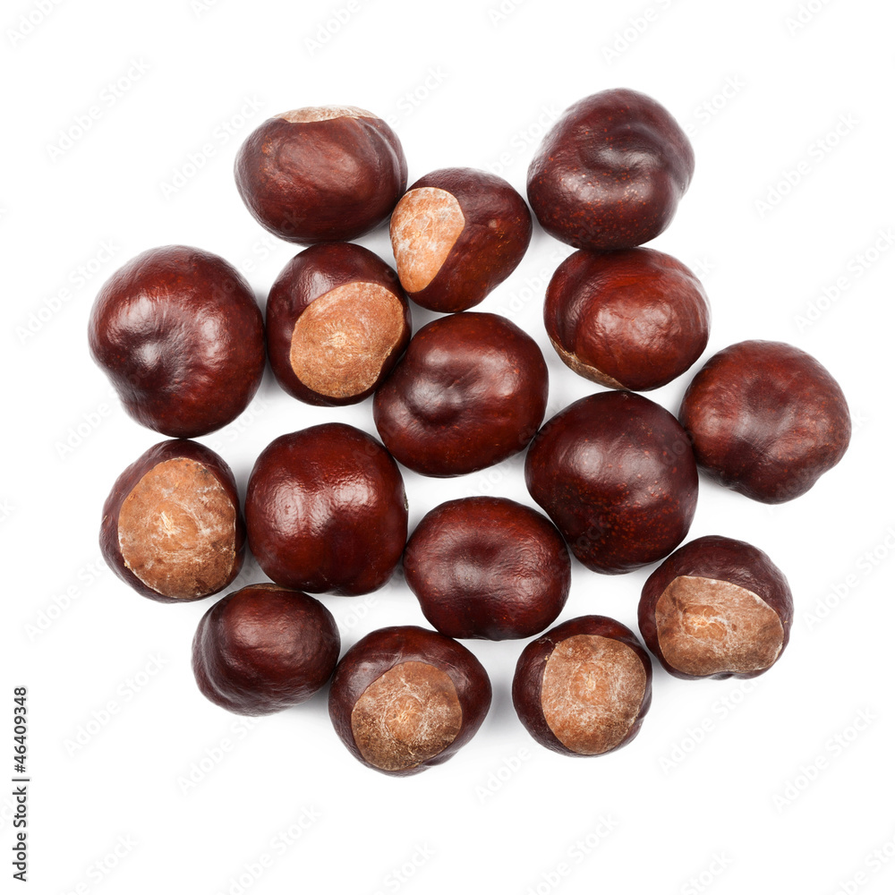 Conkers Conkers
