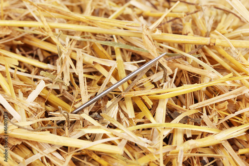 Valokuva Needle in a haystack close-up