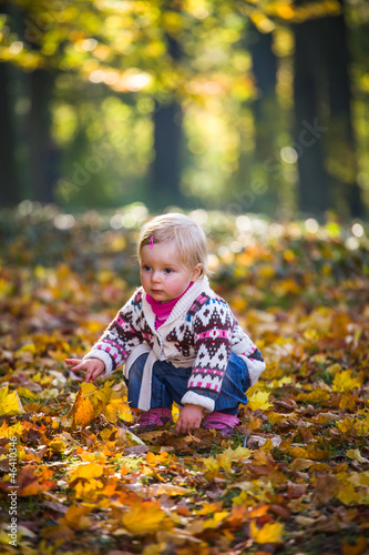 Infant baby girl in golden autumn park