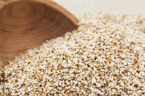 Obraz na płótnie Popped Amaranth