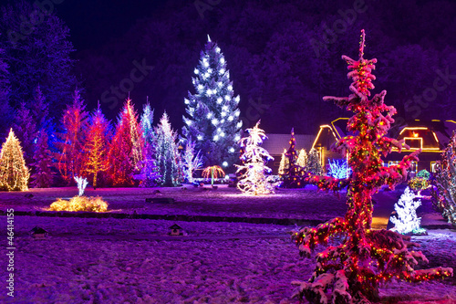 Christmas fantasy - park & forest in xmas lights photo