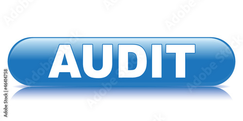 AUDIT ICON