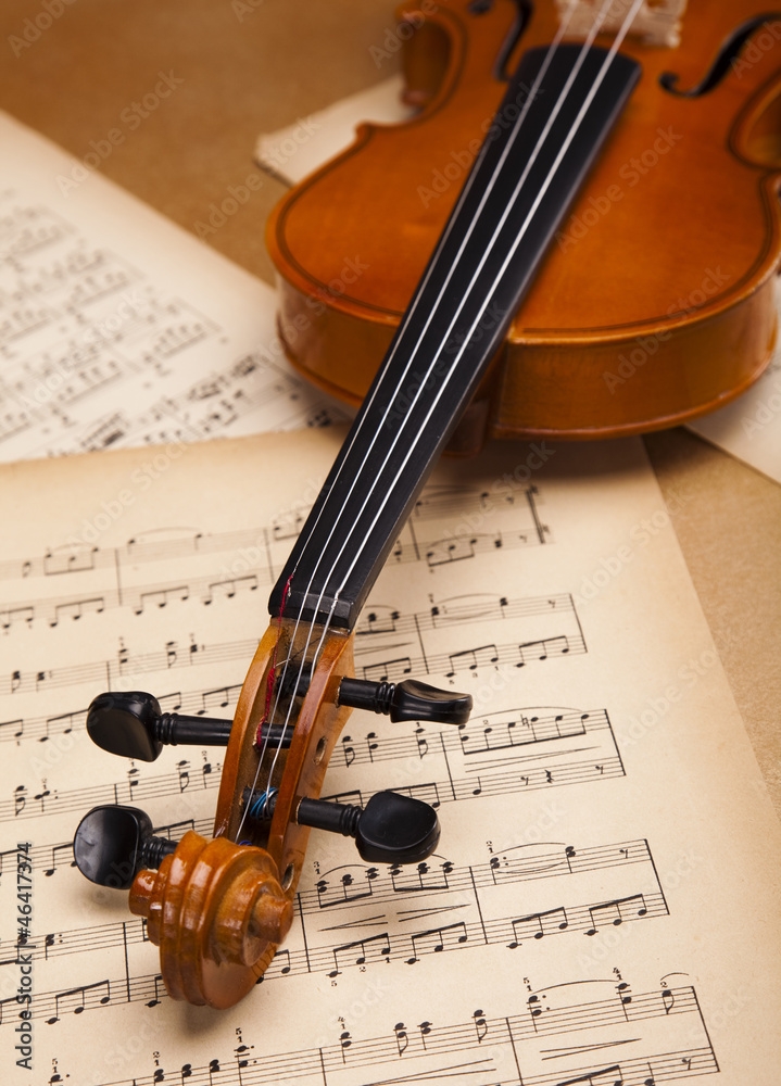 Naklejka premium Classical violin