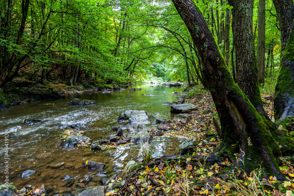 Obraz premium Autumn begins