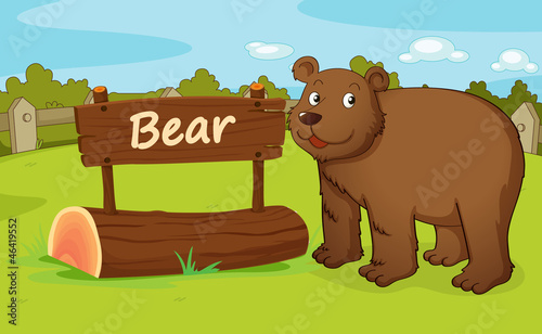bear
