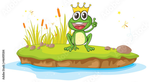 a frog and a water