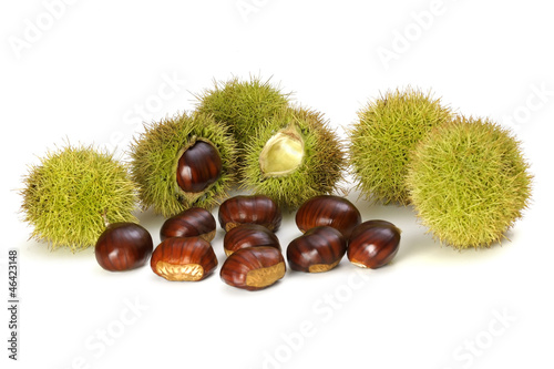 Chestnuts on the white background