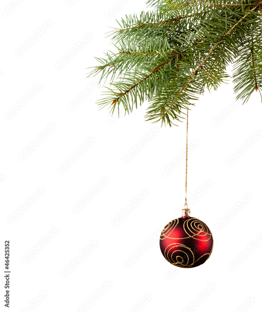 Red bauble on green christmas firtree on white background 