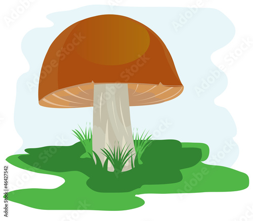 Mushroom on glade