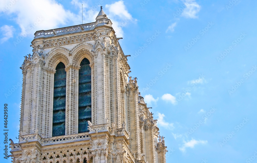 Fototapeta premium Notre-Dame de Paris