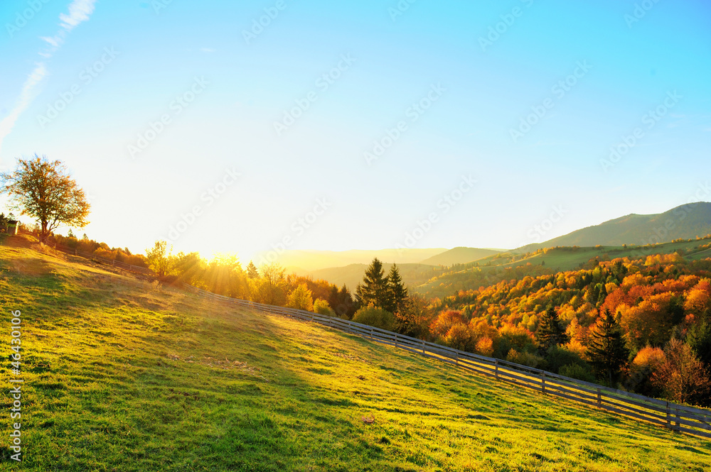 Obraz premium Autumn landscape