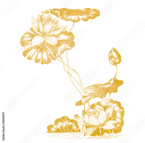 Lotus flowers in art nouveau style from old paper isolated
